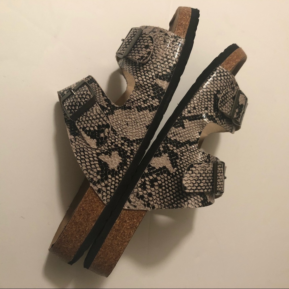 🐍 Snake Print Slides - Picture 5 of 8